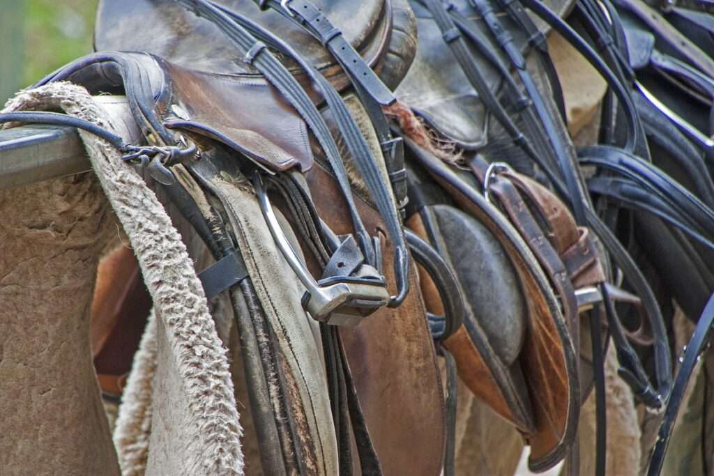 Horse Saddles for Sale - Used Horse Saddle Store