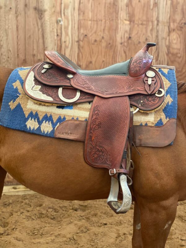 Continental reining saddle for sale