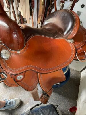 Alpine Circle Y Flex 2 trail saddle for sale